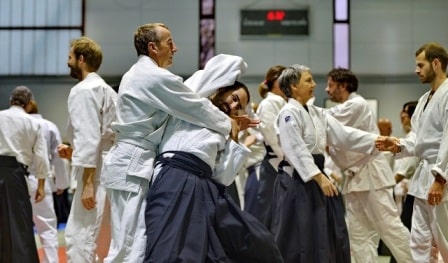 Aïkido Dijon 21 entrer sur le site du dojo